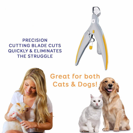 A cat and a Dog